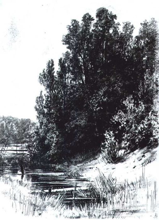 Cykl - Puszcza w grafice IV