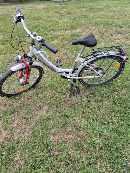 Rower Pegasus 24 cale