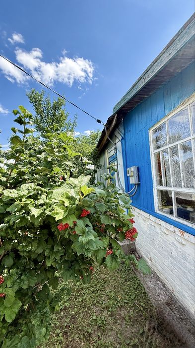 Продається будинок 65м2 + 16 сот. м. Обухів