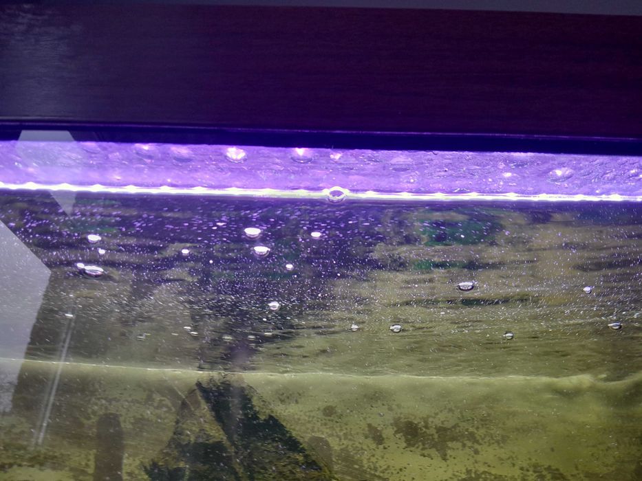 Sprzedam akwaruim 180l