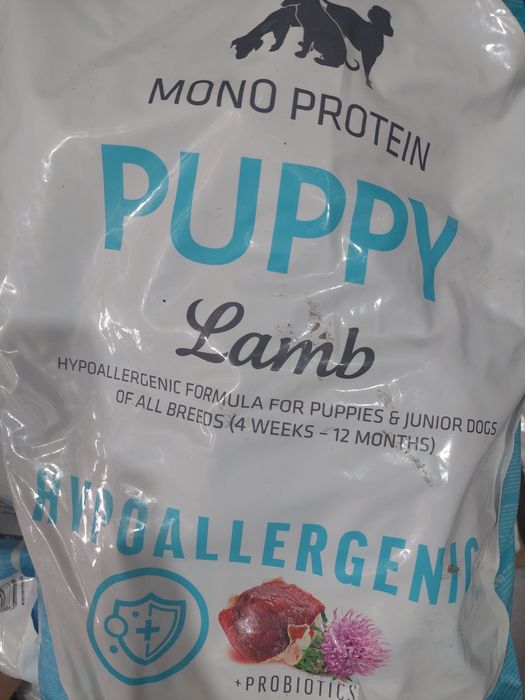 Брит каре паппі ягня 12кг