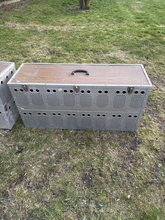 Pojemnik transportowy dla gołebi