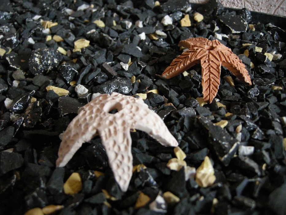 Звездочки и кубики для аквариумных креветок. Керамика ручной работы ...