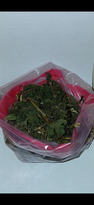 Suszona pokrzywa 10zł/1kg