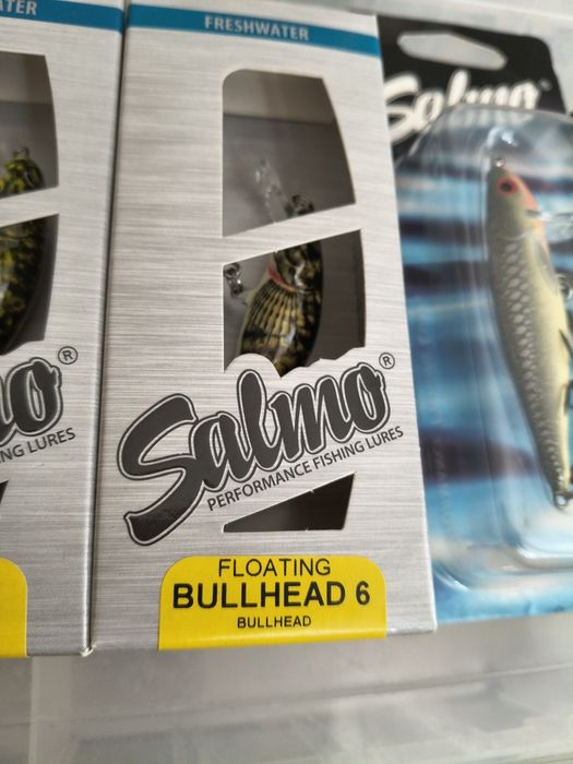 Salmo Bullhead Minnow