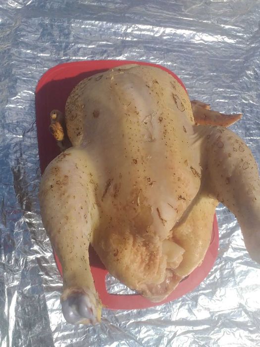 Домашні кури бройлери (тушки)