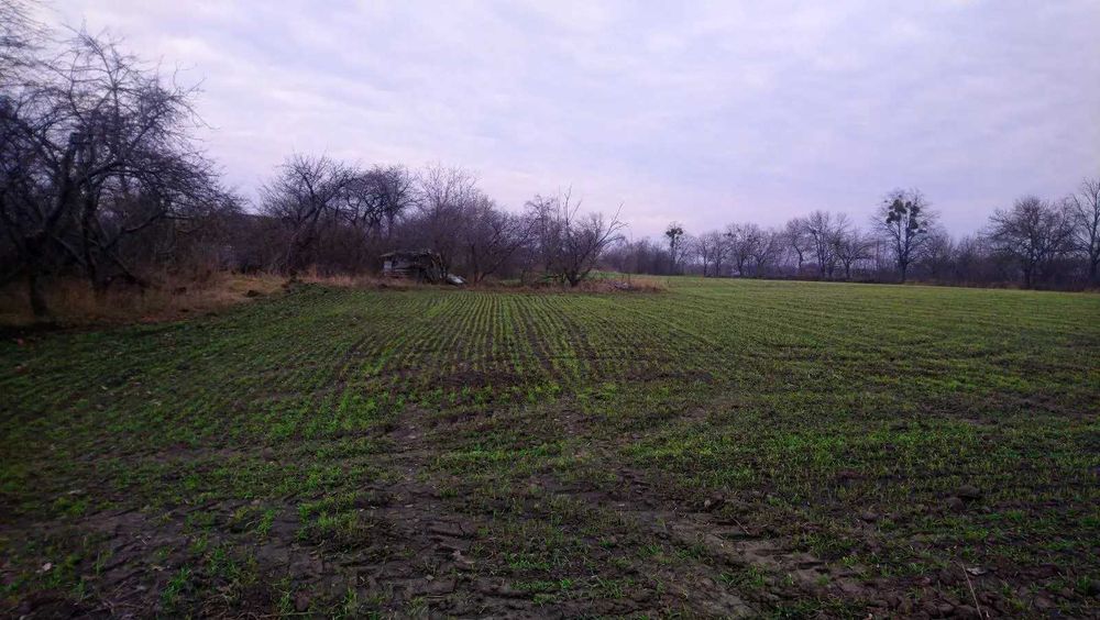 Терміново! Продається приватизована земельна ділянка (під будівництво)