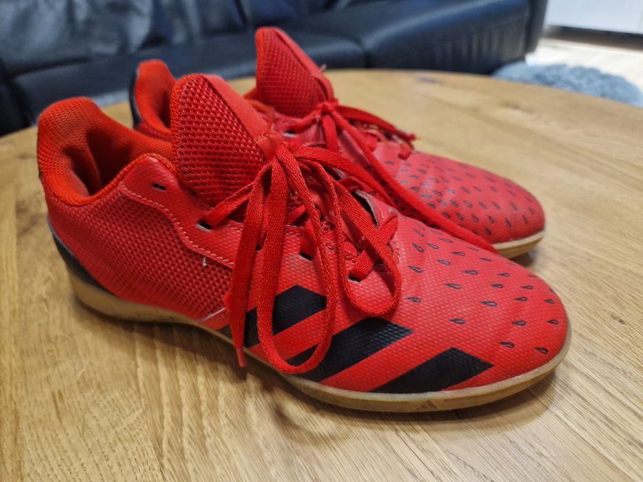 Adidas predator 38 halowki