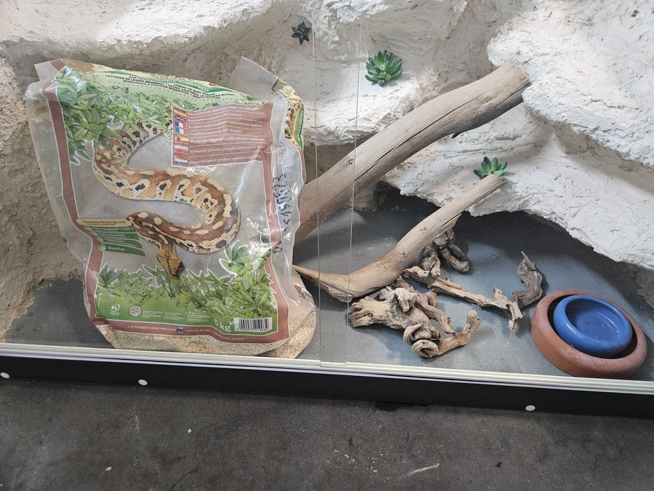 Terrarium dla gadów