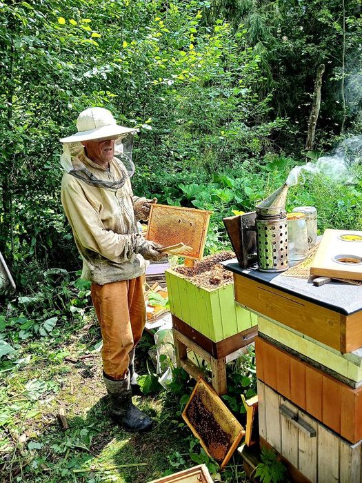 Rodziny pszczele – wiosna 2026 - pszczoły