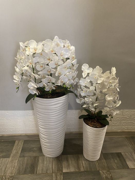 Латексні орхідеї