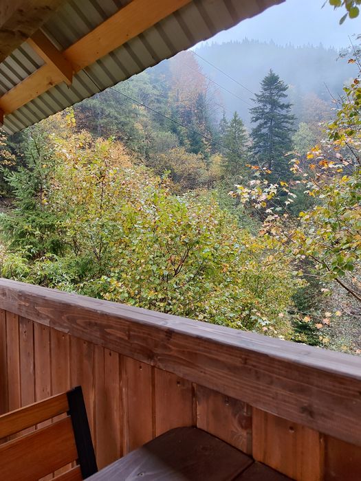 Відпочинок в Карпатах номер з окремим входом і кухнею .