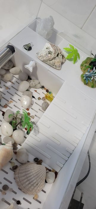 Aquário para tartarugas