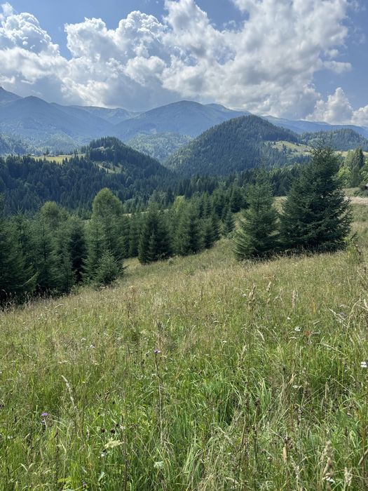 Земельна ділянка в горах Карпатах, Дземброня, під забудову