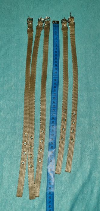 Nowe obroże dla psa