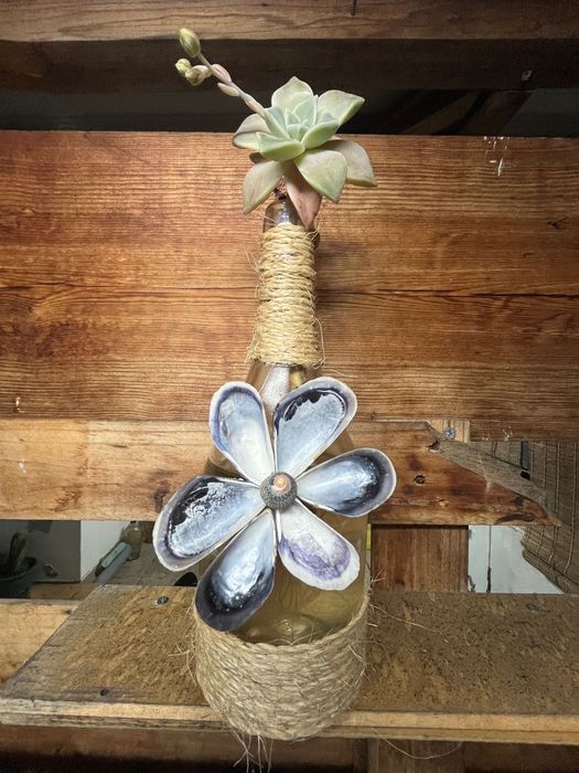 Garrafa decorada com planta verdadeira e corda e conchas