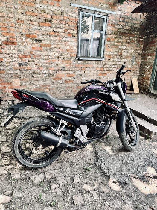 Forte    250 cka