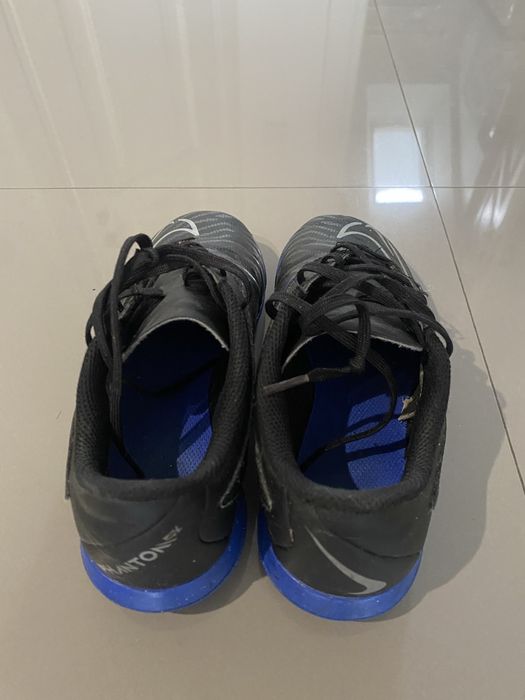 Сороконіжки дитячі