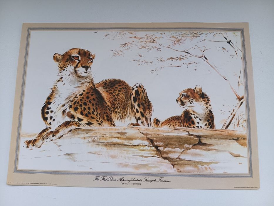 Reproduções de Ralph Thompson – Safari África