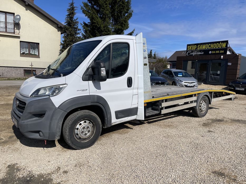 Pomoc drogowa Holowanie Transport osobowych i towarów Autolaweta