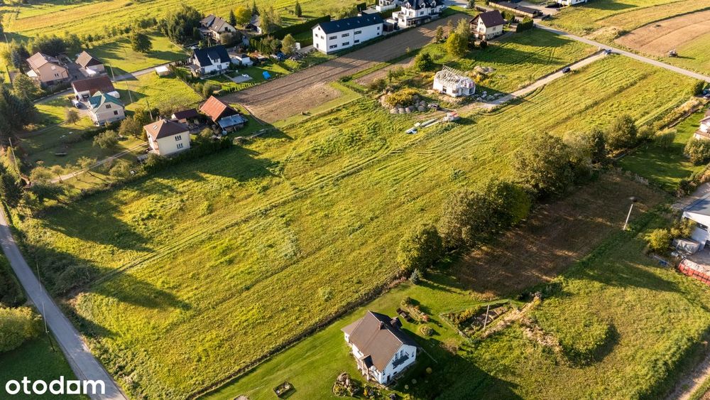 3 widokowe działki budowlane, 10–11 arów, po 180 tys. zł - Widok 3