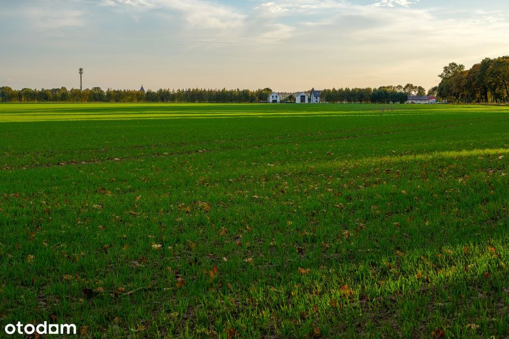 Sławno - teren pod osiedle