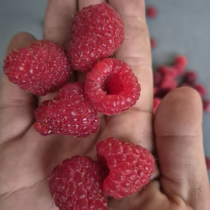 Заморожена малина