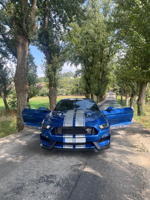 Ford Mustang ecoboost 2.3 auto 317 cv