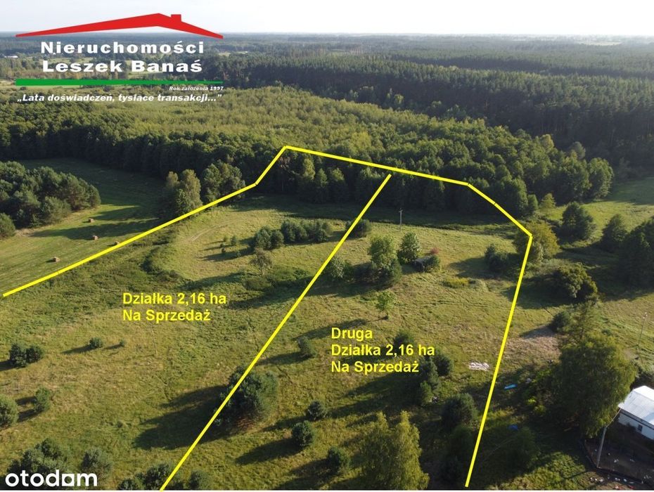 Działka granicząca z lasem - Widok 4