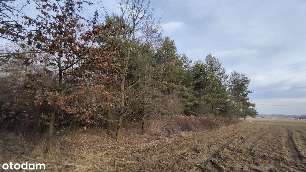Działka rolna 3000 m² w spokojnej okolicy Wielopole