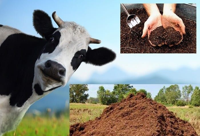 Перегной. Навоз. Торфокрошка. Доставка.