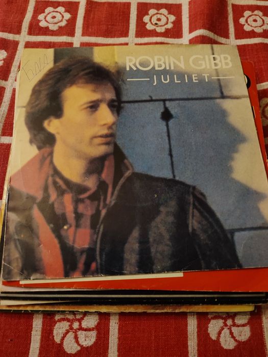 Vendo discos vinil usados