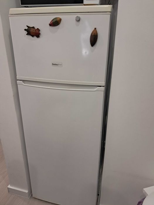 Frigorífico e arca
