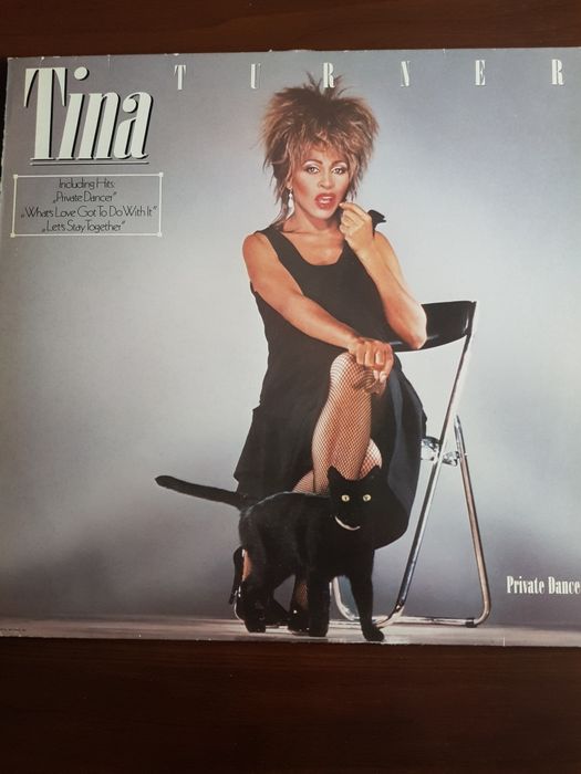 Tina Turner -Private Dancer
