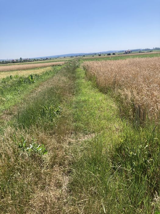 Продам земельну ділянку під будівництво. Власник