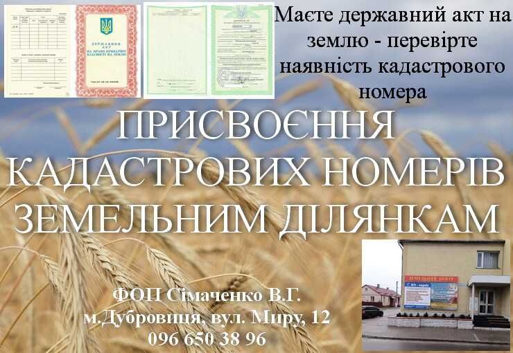 Приватизація землі та будинків