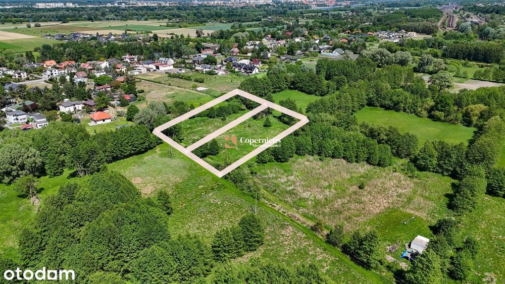 Mała Nieszawka - dopuszczalna zabudowa zagrodowa - View 4