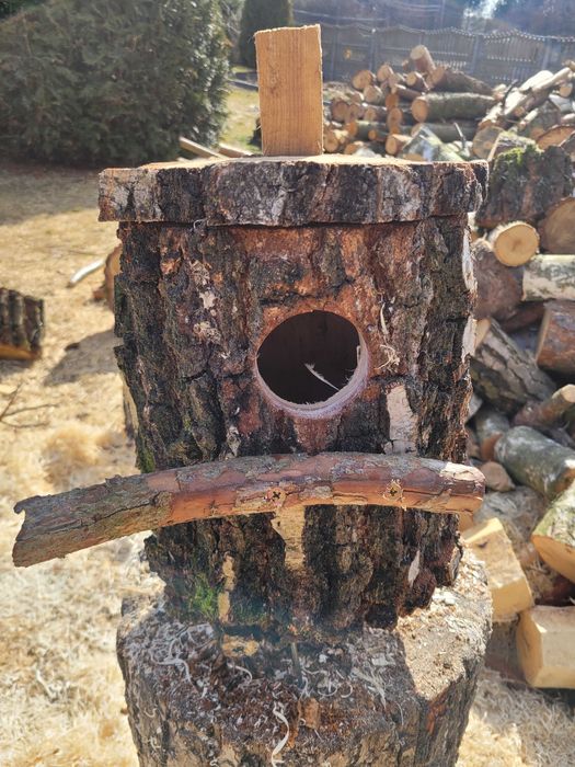 Budki lęgowe z pnia brzozy