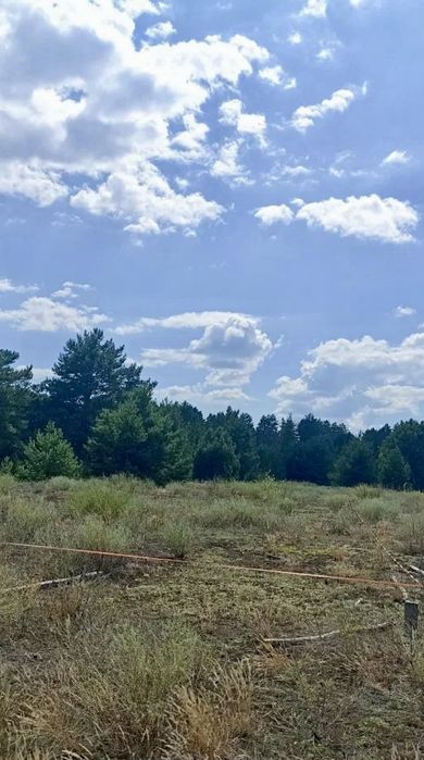 Продам земельний участок Трушки