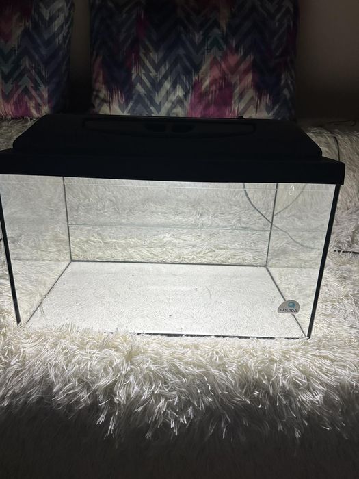 Тераріум з підсвіткою