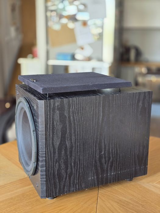 Tannoy mercury msub 10 subwoofer