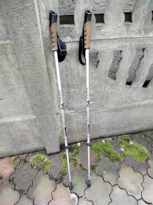 kije do Nordic Walking