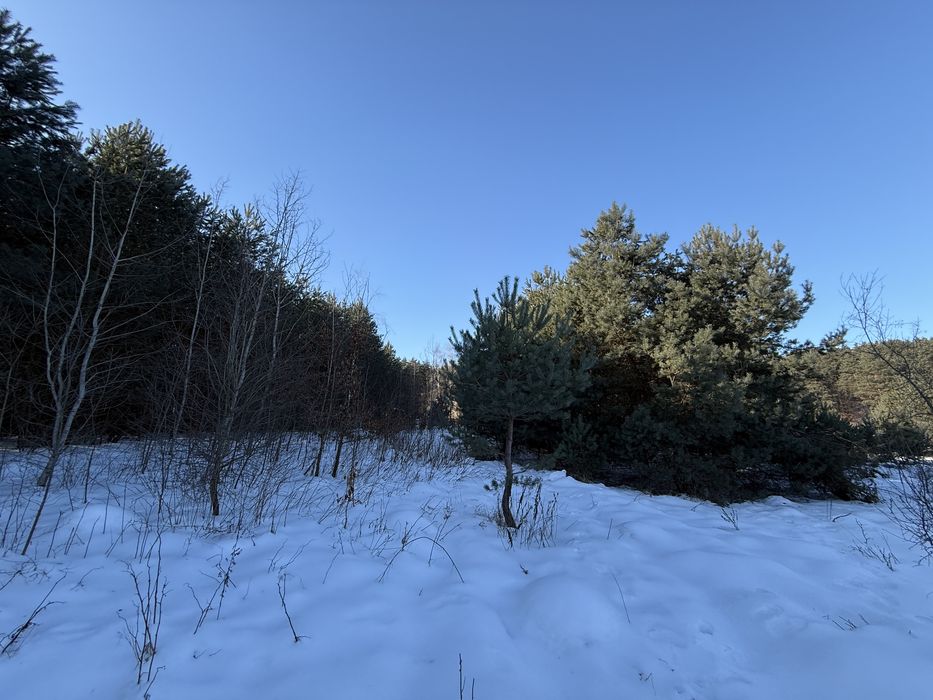 Продаються дві суміжні ділянки 0.15га та 0.2га, с. Лубʼяна