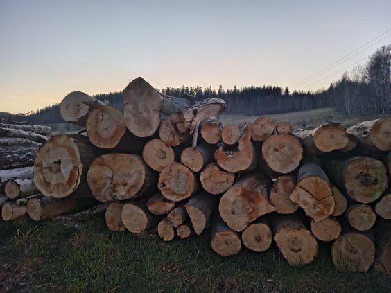 Drewno kominkowe opałowe Buk