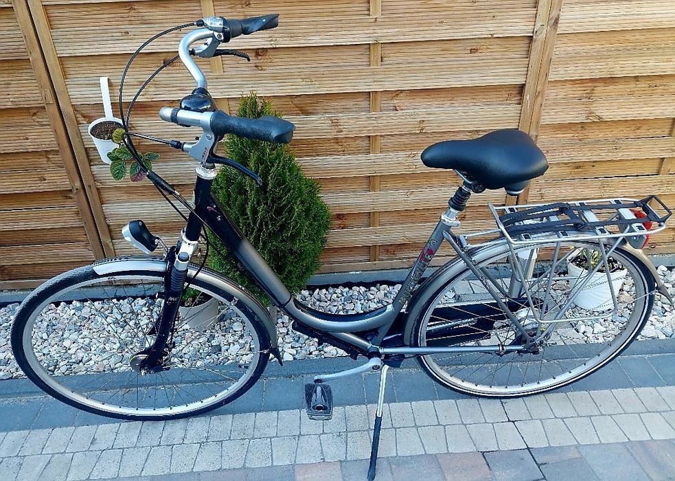 Turystyczne Miejskie damki