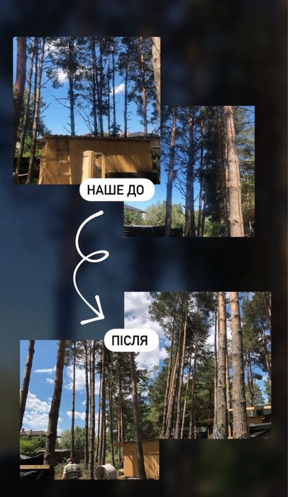 Безопасный спил, удаление, кронировка, чистка деревьев, участка, крыши