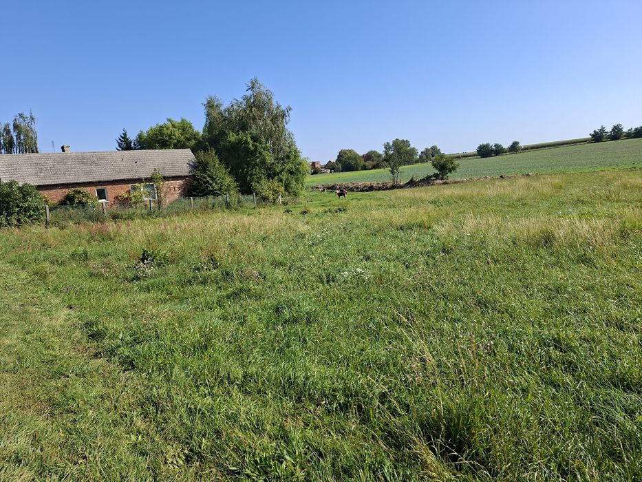 Działka budowlana 1623m² z MPZP - Widok 3