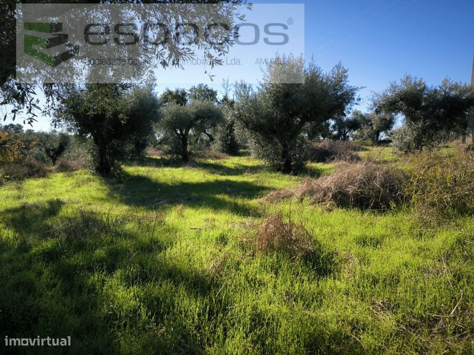 Horta da Serra - Palvarinho