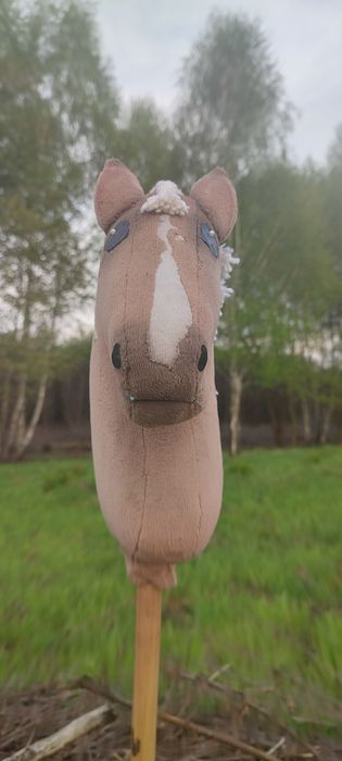 Kucyk hobby horse