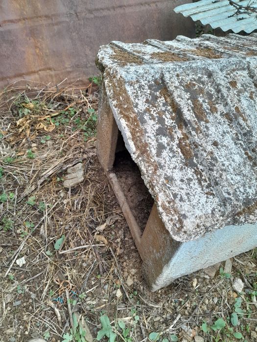 Vendo casa para cão